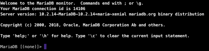 Screenshot of the MariaDB command line