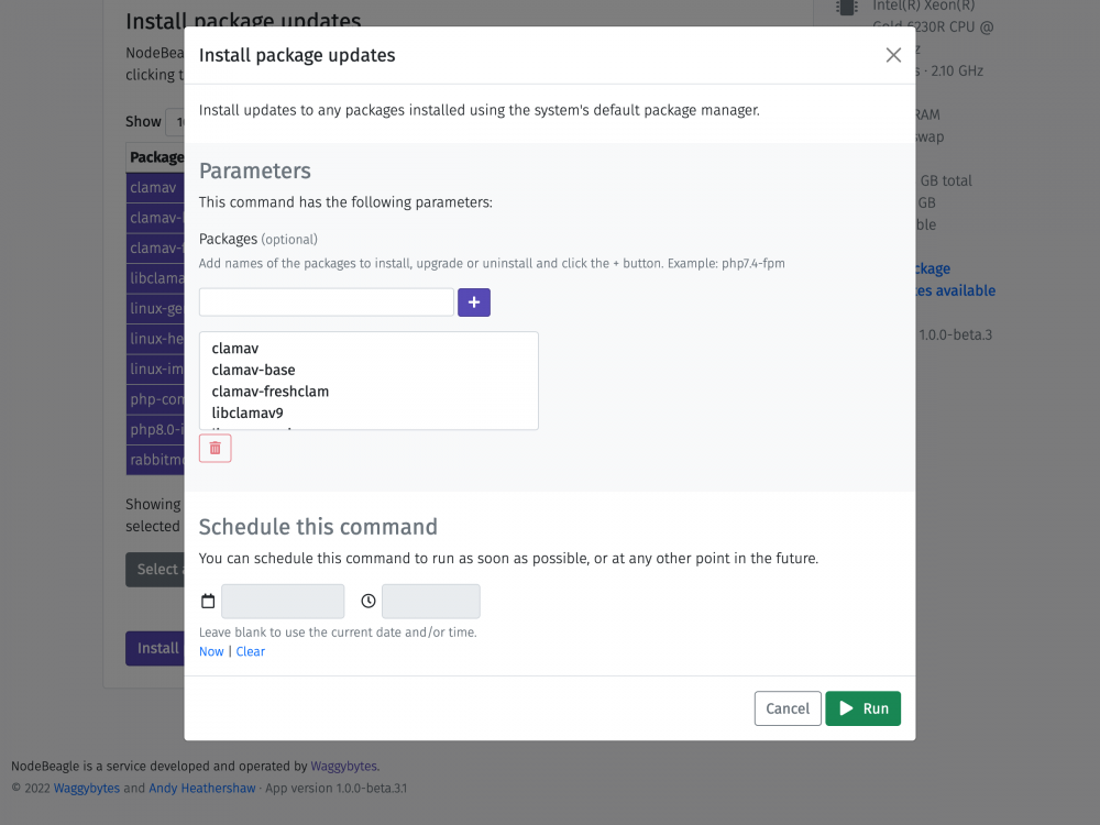 Screenshot showing options to install packages in NodeBeagle