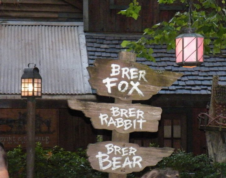 Splash Mountain is a ride based around the characters of Brer Patch – Brer Fox, Brer Rabbit and Brer Bear.