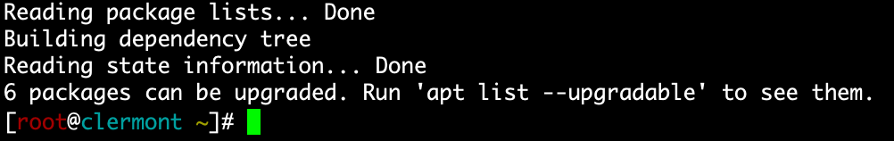 Screenshot of a Linux terminal window showing an apt update command